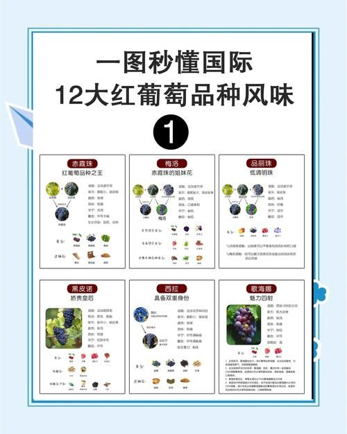 葡萄成熟时游戏介绍版本推荐：哪个更适合你选择？