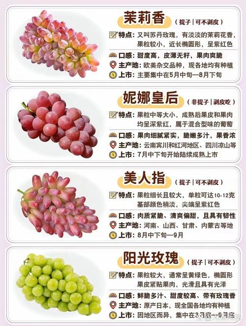 葡萄成熟时资源哪里找？推荐这几个靠谱下载平台