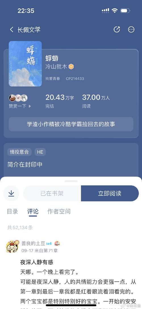 蜉蝣V0.2安卓汉化问题解决？常见错误避坑方法！