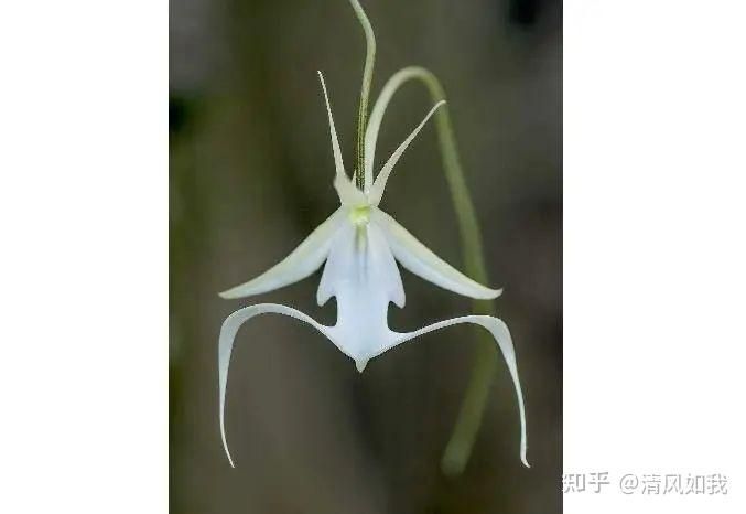 蜉蝣官方网站哪家最好？比较这五家实用选择！