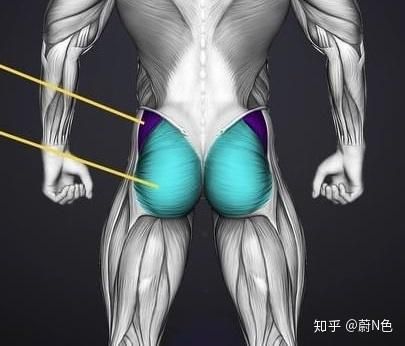 裸体学校下载常见问题怎么解决？(快速答疑技巧大全)