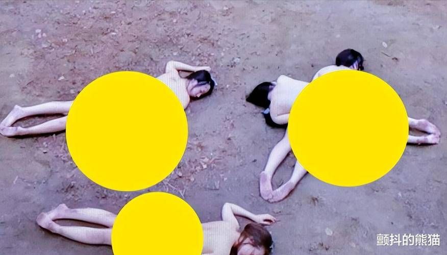 裸体学校更新到哪了？最新版本号与下载点这里看！