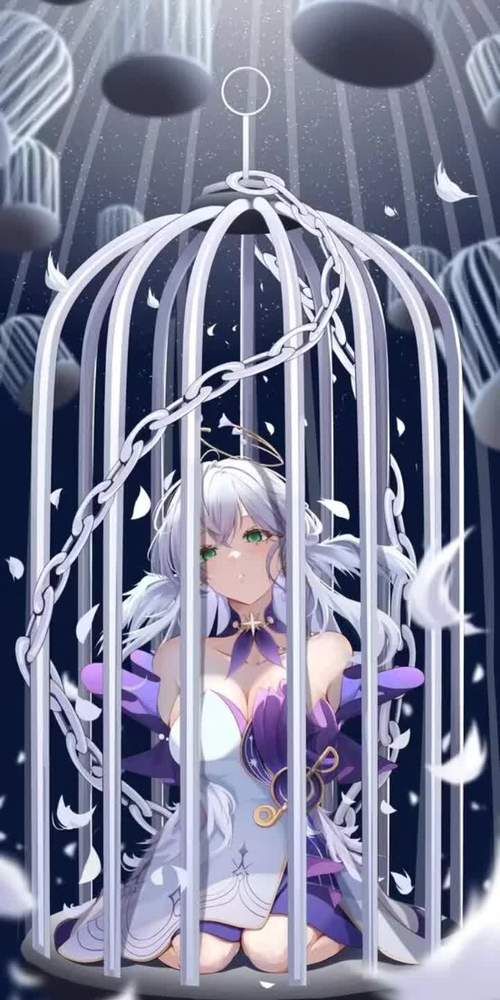 诺艾尔会努力的官网效果如何？(用户真实体验评测)