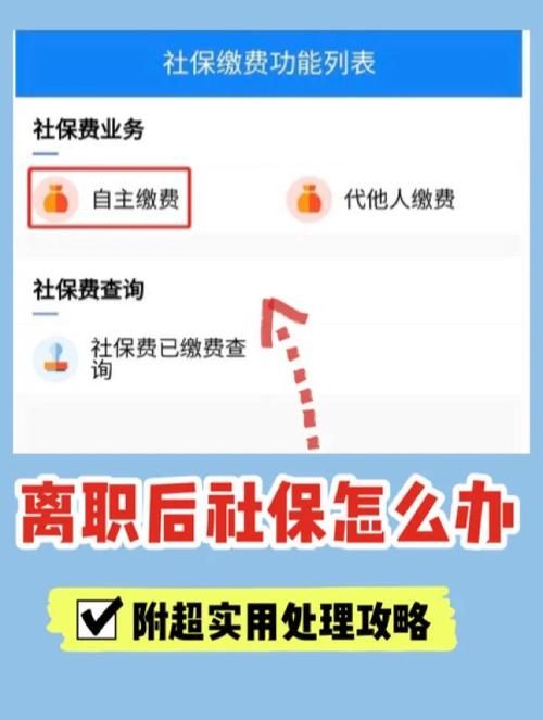 超社保服务人员小缘-安卓有什么功能？五大亮点全解析