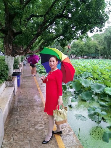 超级富豪酒池肉林下载安卓常见错误解决(安卓手机稳定运行排雷攻略)