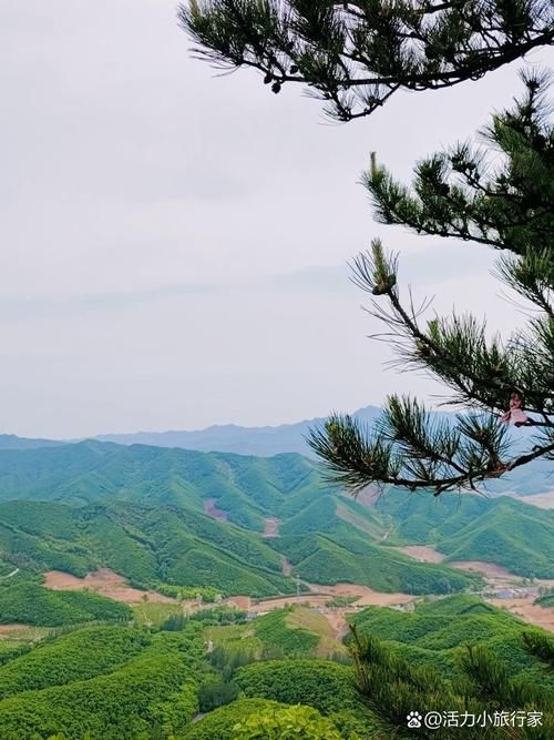 超级富豪酒池肉林绅士游戏避坑指南？老司机经验分享必看！