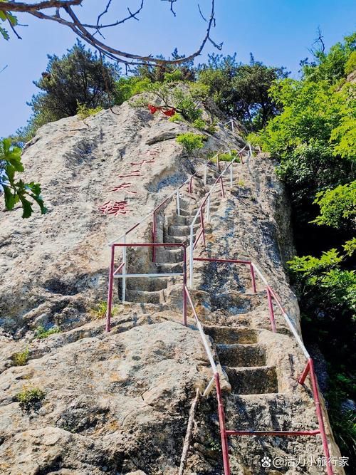 超级富豪酒池肉林绅士游戏避坑指南？老司机经验分享必看！