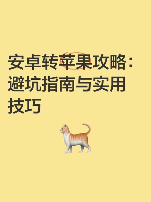 跨界安卓汉化怎么避坑？新手入门实用技巧！