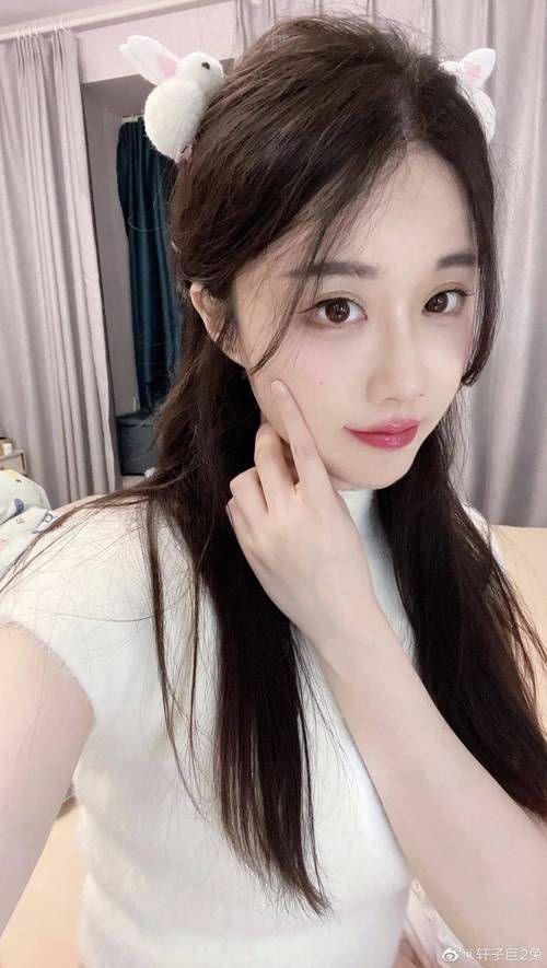 轩子巨二兔在哪下载？手机电脑不同版本获取攻略！