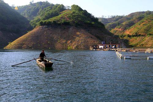 边境之村安卓下载好玩吗？真实玩家体验评价！