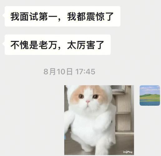 这个面试有点硬汉化版下载安装包哪里找？官方及备用链接推荐