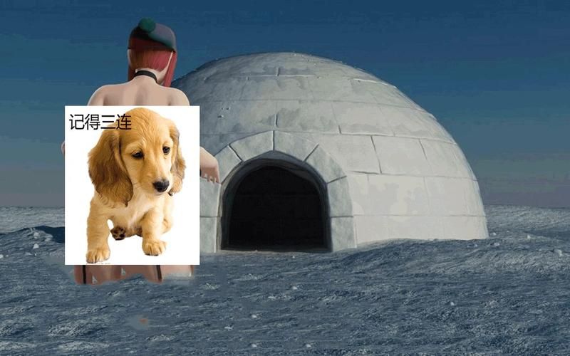 迪米特雷斯库的城堡版本大全下载地址？免费获取方法全解析！