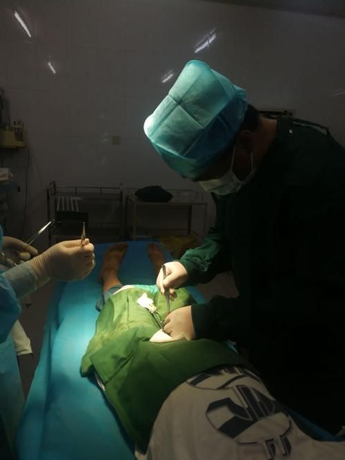 迷情医院在哪下载手机版？教你认准正版安装包