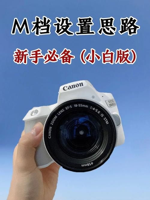 逆命更新地址怎么操作?新手必备五步详细指南轻松搞定 逆命更新地址怎么操作?新手必备五步详细指南轻松搞定