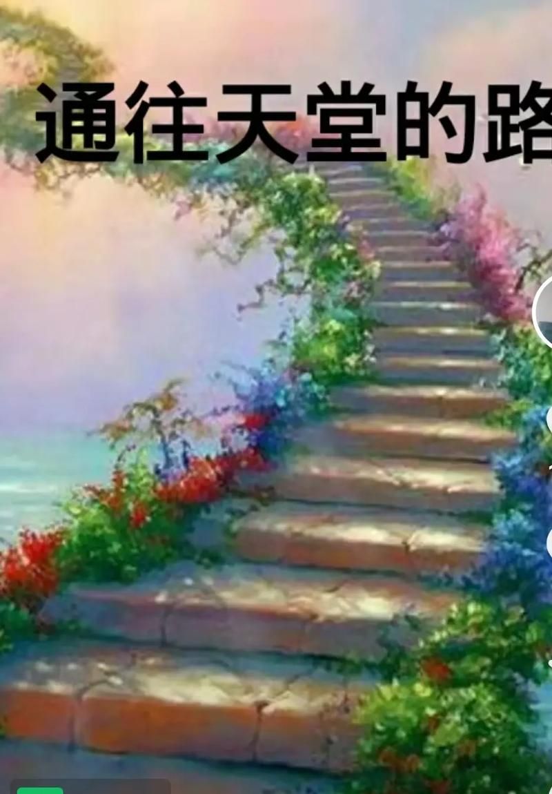 通往天堂的道路最新版本在哪下载好？对比这几个平台！