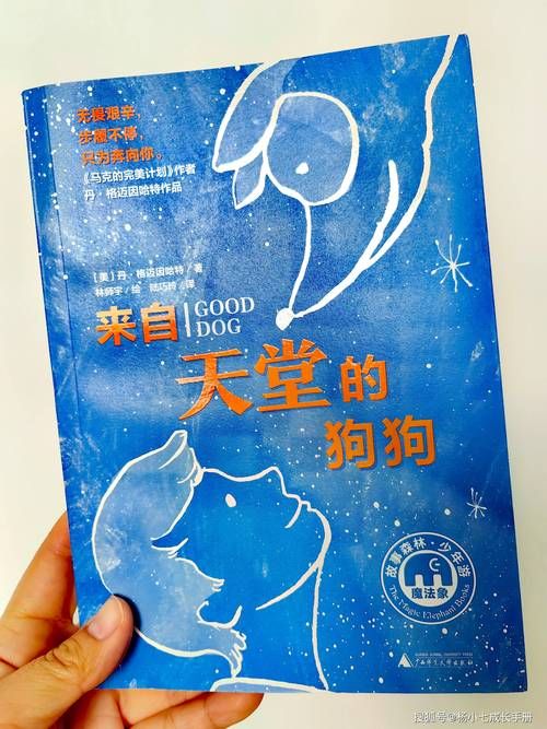 通往天堂的道路最新版本是多少？(常见问题解答一次搞懂！)