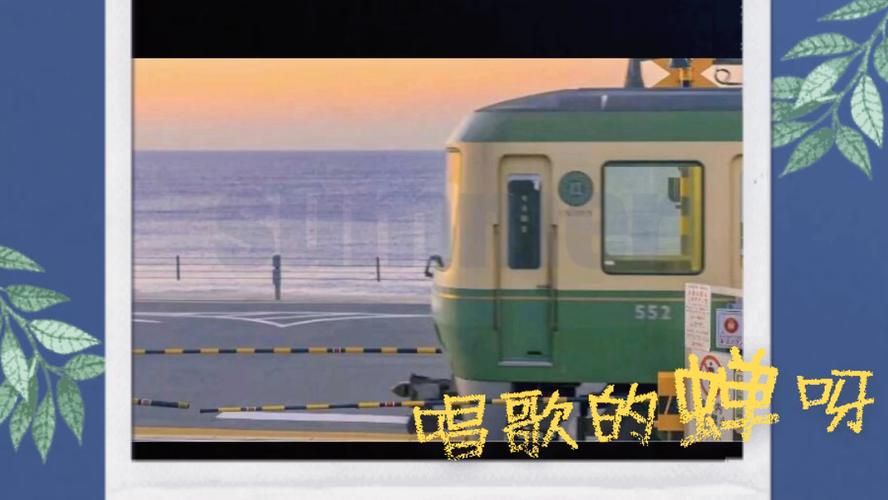 逝去的夏天下载地址安全吗？专家教你正确使用！