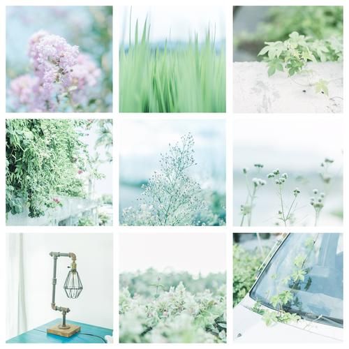 逝去的夏天下载地址安全吗？专家教你正确使用！