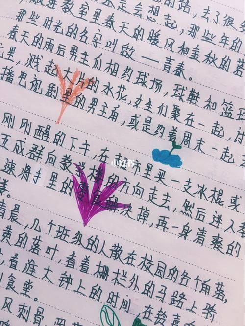 逝去的夏天地址为何更新？(真相揭秘轻松解决访问)