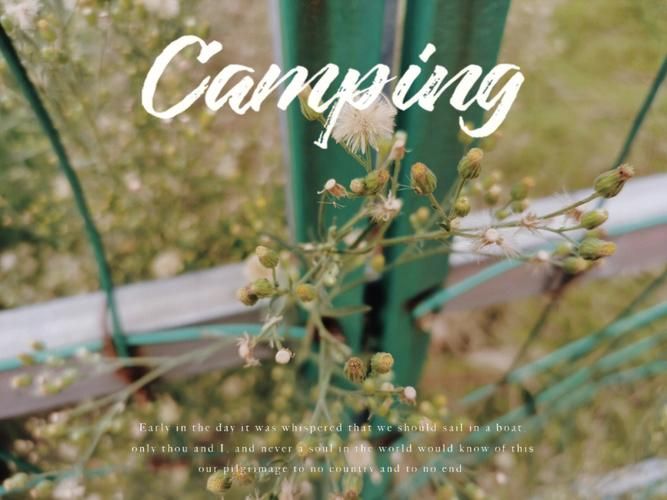 逝去的夏天如何免费下载？(行家分享实用技巧不费劲)