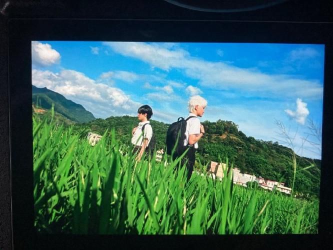 逝去的夏天安卓汉化最新版本下载？更新内容全知道！