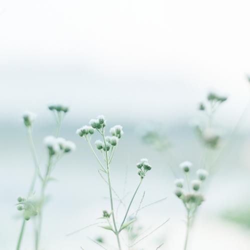 逝去的夏天官网怎么下载(简单3步完成安装教程)