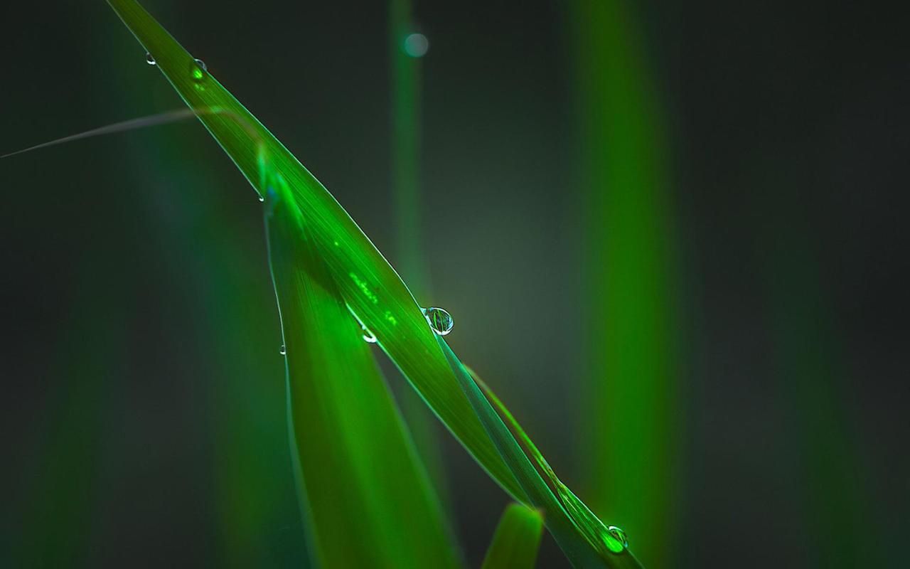 都市媚影下载地址安全吗？这招搞定无病毒绿色资源