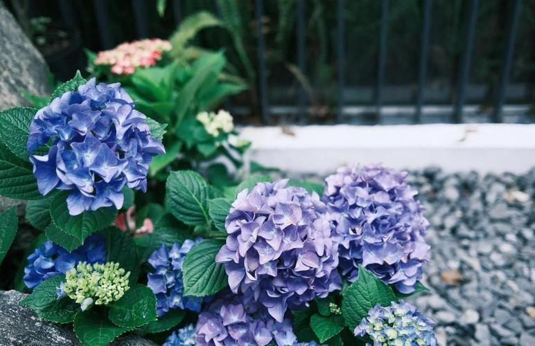 都市美艳后宫官网下载指南,全平台安装方法详解 都市美艳后宫官网下载指南,全平台安装方法详解