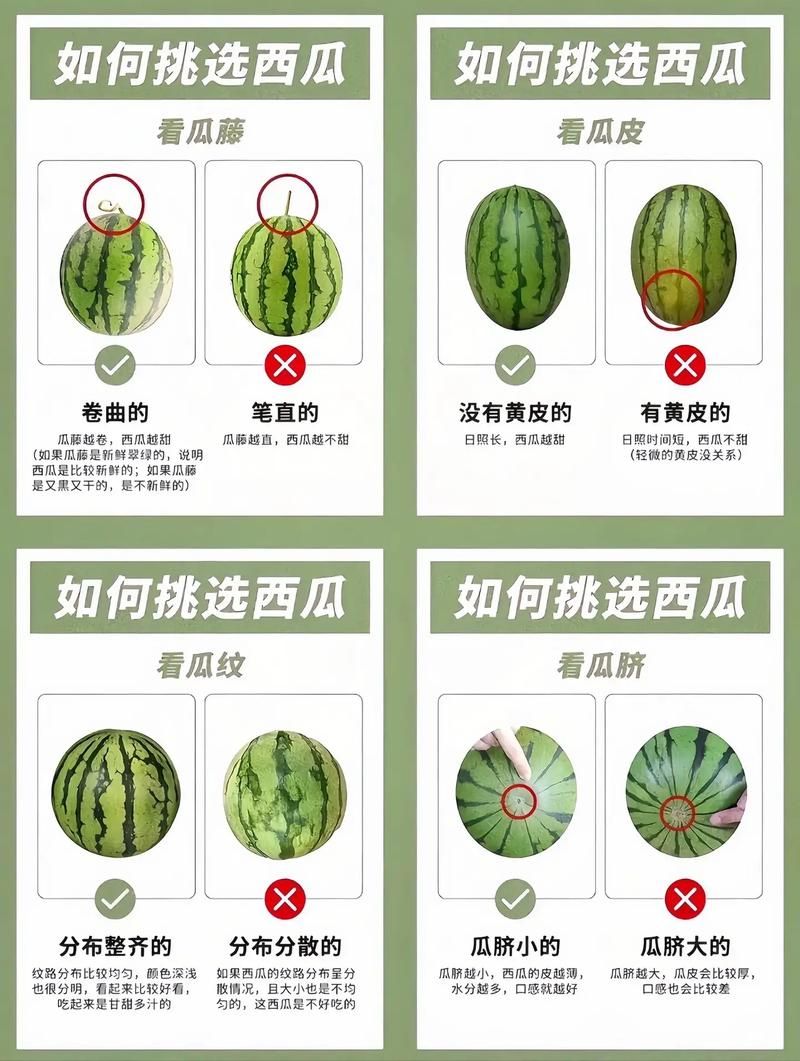 野猫下载安卓常见问题？专家解答一键解决烦恼！