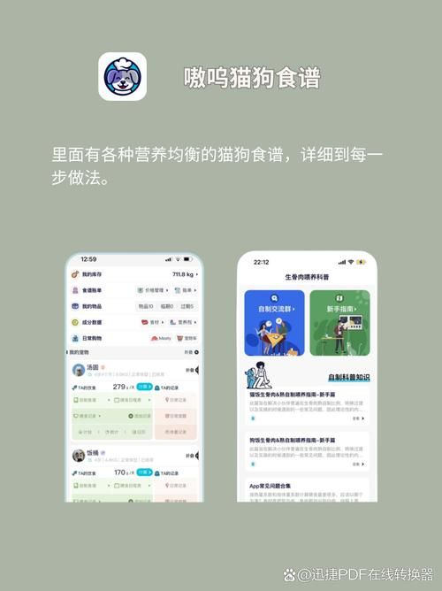 野猫在哪下载最快(提速方法轻松获取)