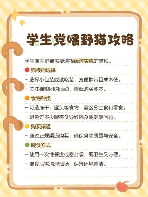 野猫在哪下载最快(提速方法轻松获取)