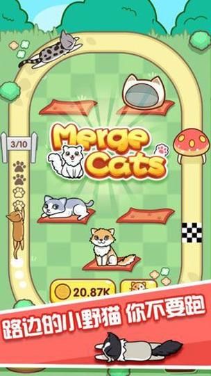 野猫安卓是什么东西?新手必备入门知识讲解 野猫安卓是什么东西?新手必备入门知识讲解