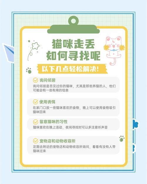 野猫更新地址在哪里找正确？行家分享四步简单操作法！