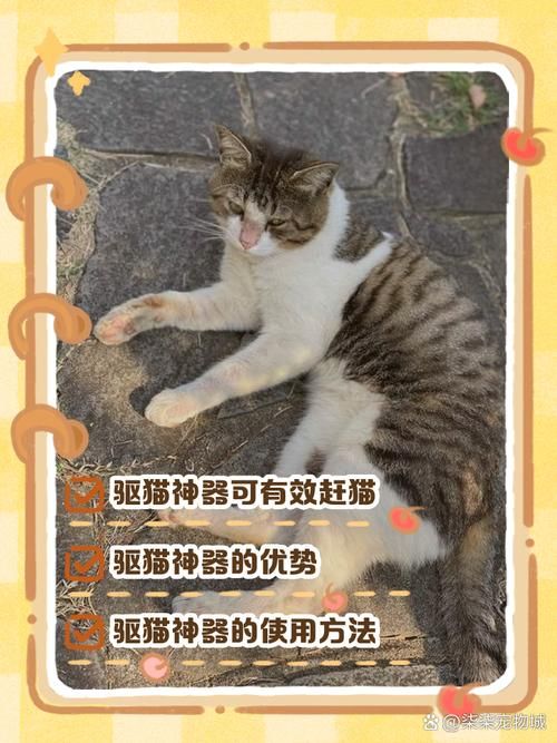 野猫更新地址在哪里找正确？行家分享四步简单操作法！