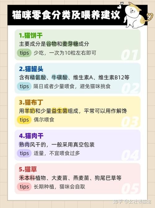 野猫最新版本哪里能下载?(安全渠道推荐避坑) 野猫最新版本哪里能下载?(安全渠道推荐避坑)