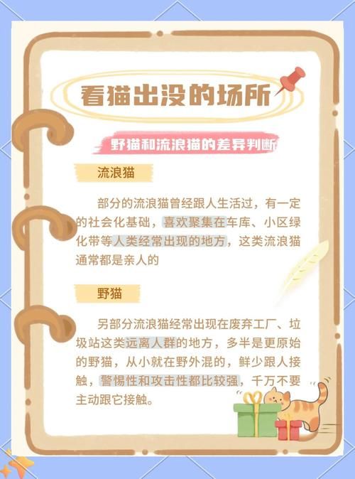 野猫最新聚集地揭秘（专家追踪三年来活动变化）