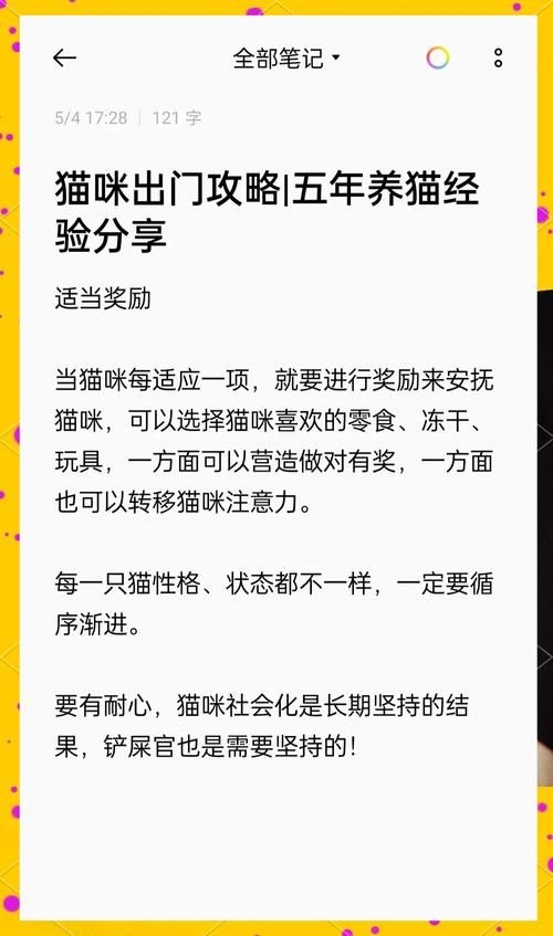 野猫游戏介绍有哪些内容？必看要点全攻略分享！