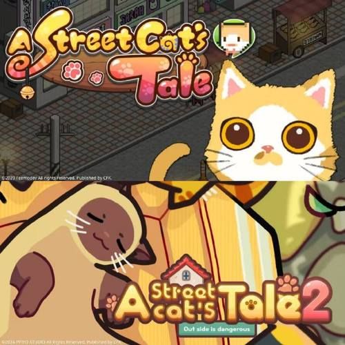 野猫游戏介绍有哪些内容？必看要点全攻略分享！