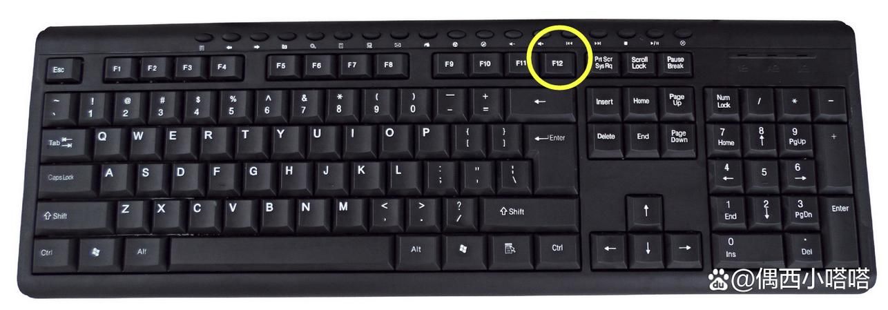 间谍出租车安卓汉化使用教程？(新手零基础入门方法)