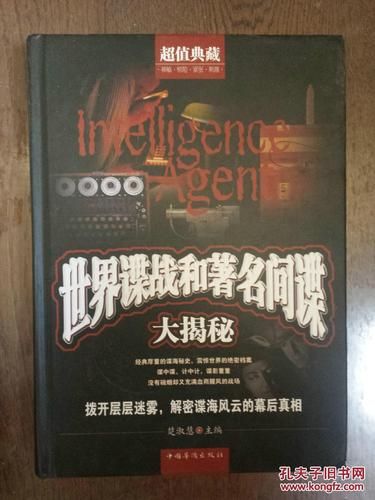 间谍出租车官方正式版下载最新版好玩吗？(真实玩家体验大揭秘)