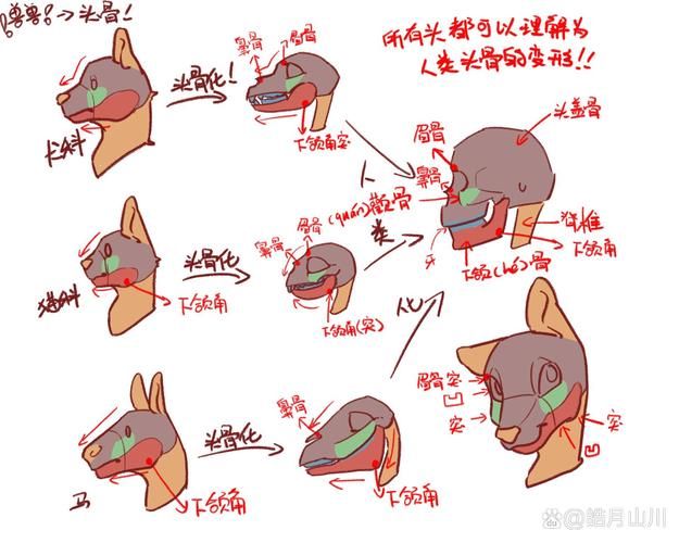 阳光下的野兽如何下载？(手把手教程操作简单快搞定)
