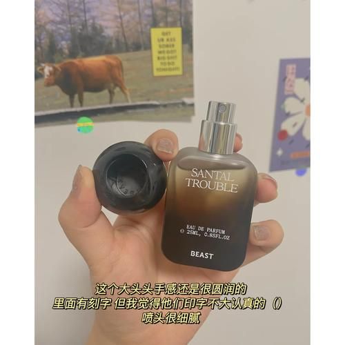 阳光下的野兽版本大全避坑贴？新手入门必读建议！