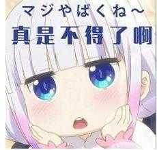 阿黑颜安卓汉化哪个版本好？精选评测对比最佳选择！