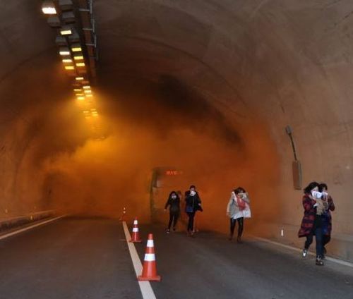 隧道逃生下载地址如何高效？老司机分享实用秘籍！