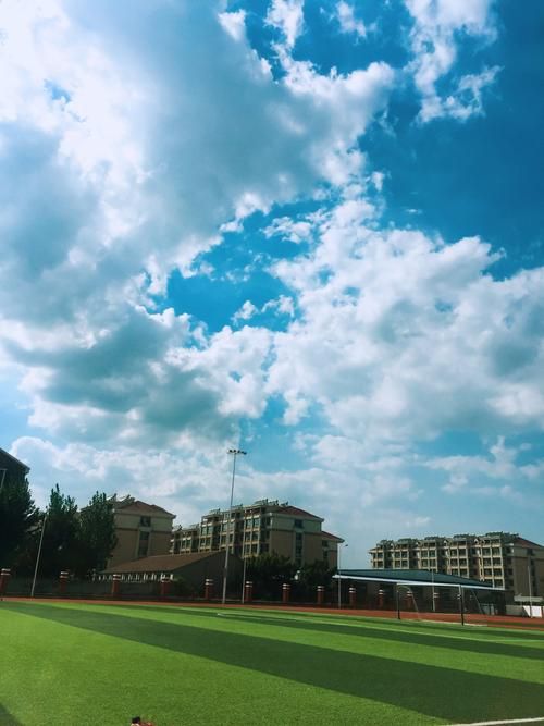 青色大脑最新效果怎么样？(实测提升5大优势方法！)