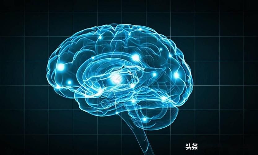 青色大脑游戏介绍全攻略！带你掌握通关核心技巧