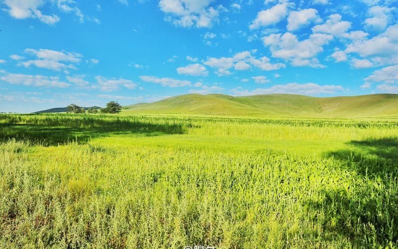 青青草原下载地址怎么使用?新手必备详细步骤! 青青草原下载地址怎么使用?新手必备详细步骤!
