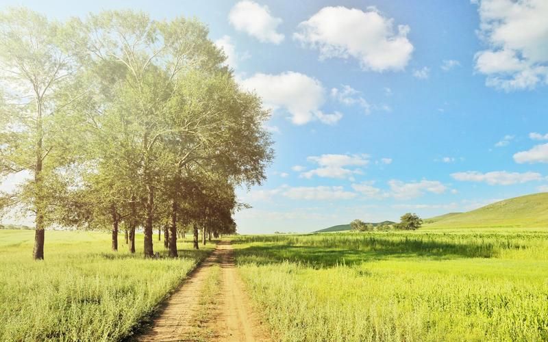 青青草原下载地址怎么使用?新手必备详细步骤! 青青草原下载地址怎么使用?新手必备详细步骤!