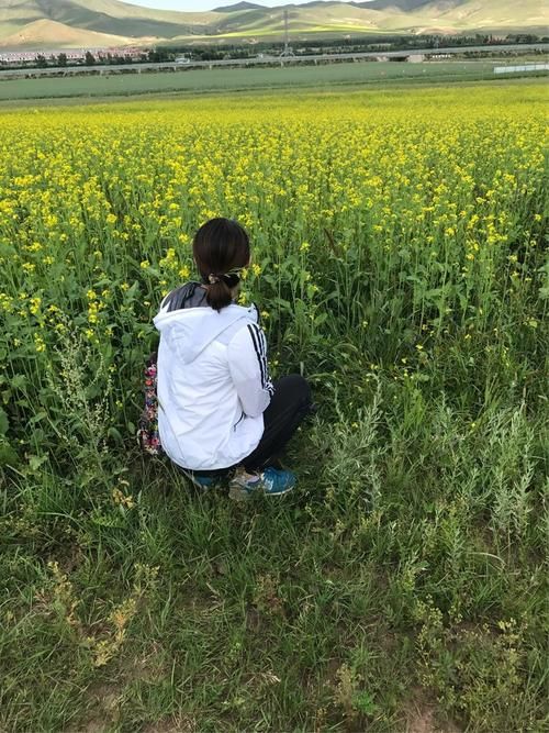 青青草原如何下载？这个简单方法新手也能快速学会！