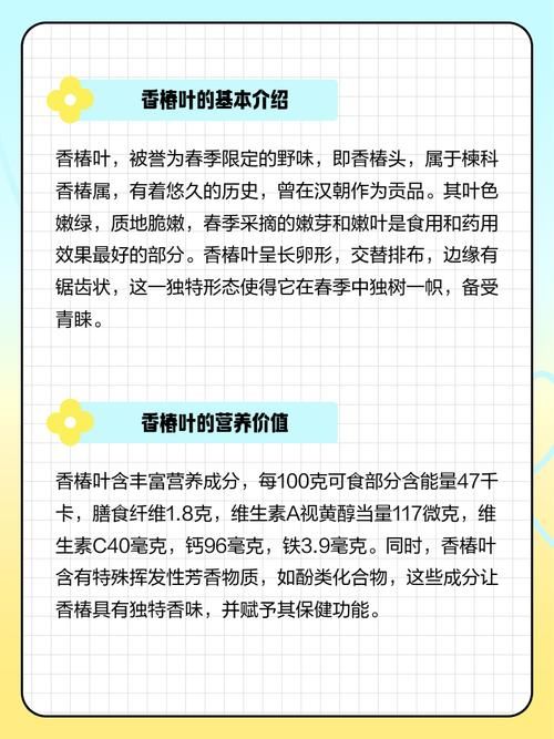 香椿edge最新版有哪些功能更新？(官方完整版特色解析一览)